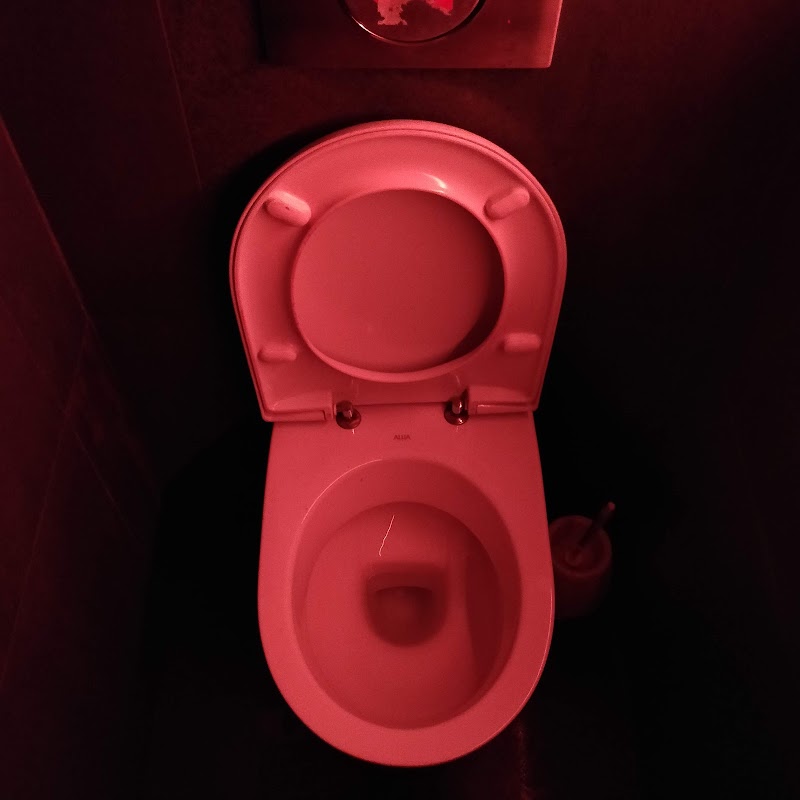 Sauna Fenomeen