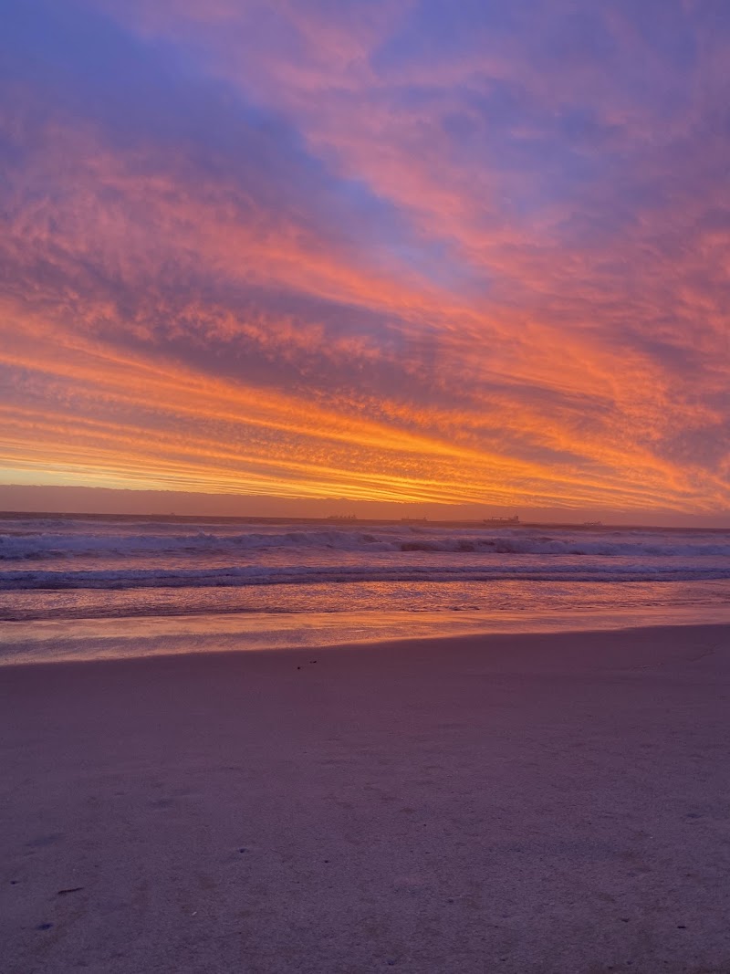 Dolphin Beach