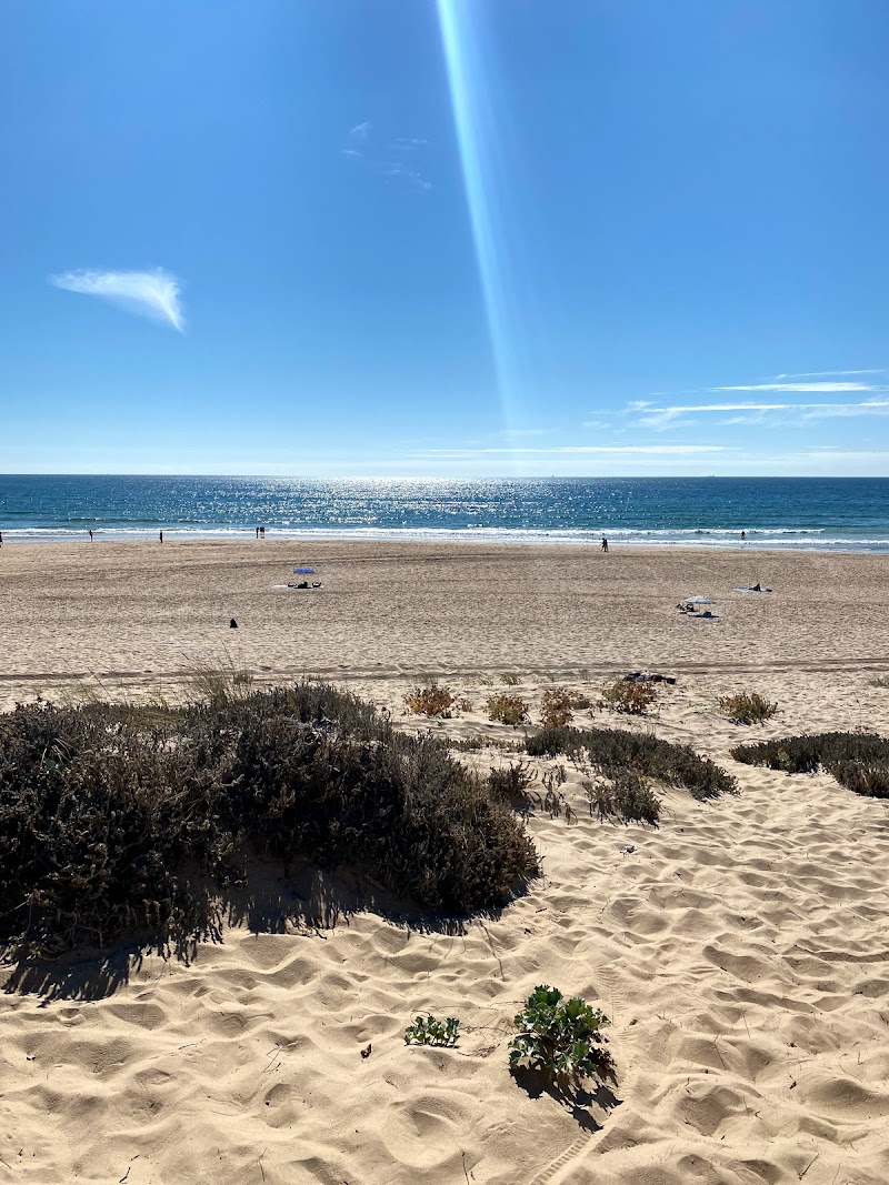 Café De Lollipop