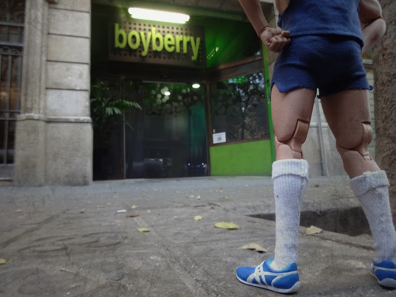 Boyberry