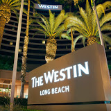 Sydney Wattle Hotel